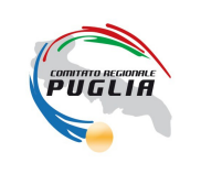 Nominati i Delegati Provinciali per il Quadriennio 2025/2028